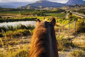 Alicante: Villajoyosa 2-hour Horseback Riding Tour