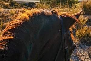 Alicante: Villajoyosa 2-hour Horseback Riding Tour