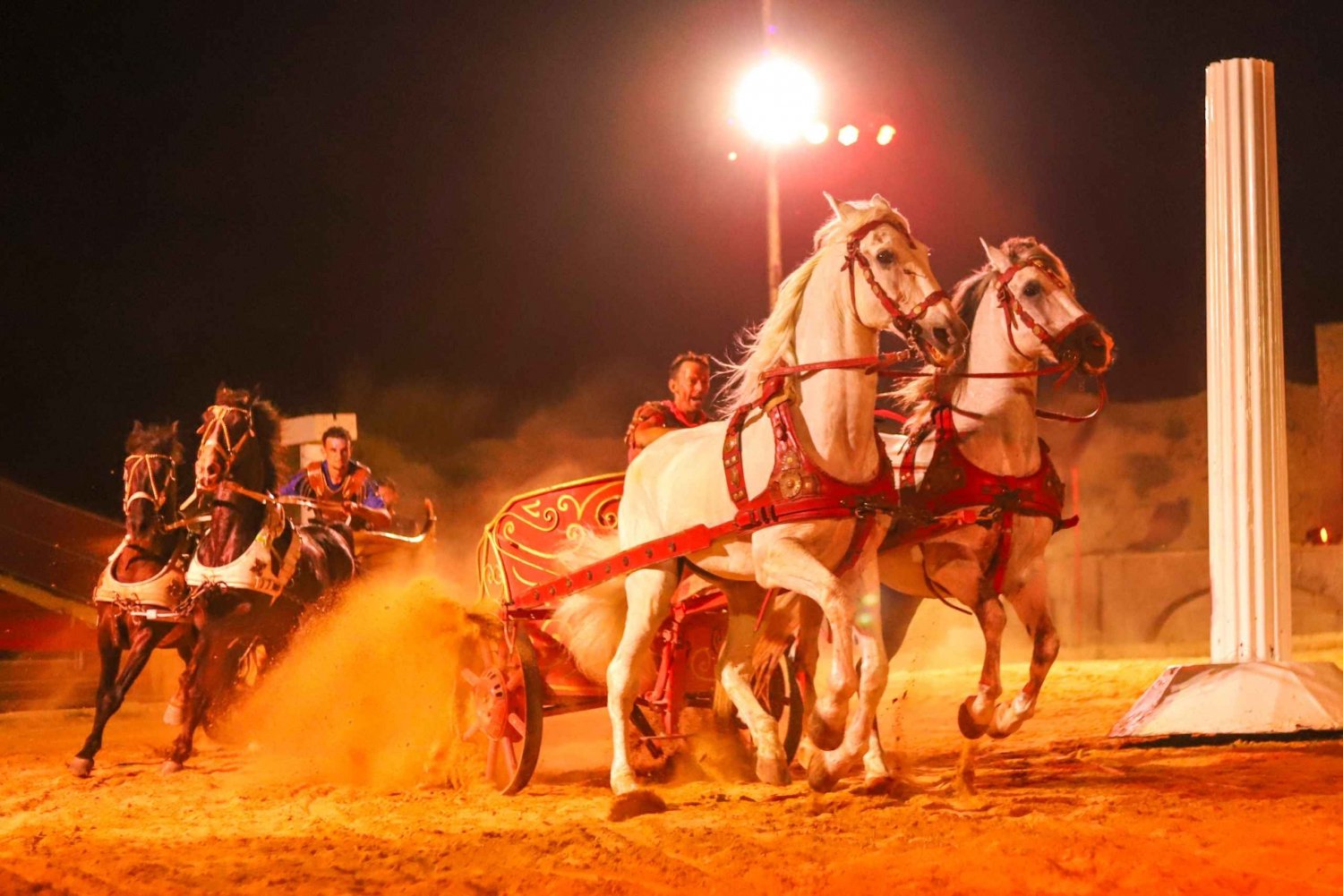 Alicante: Biglietto d'ingresso per il Gran Circo Massimo di Villajoyosa