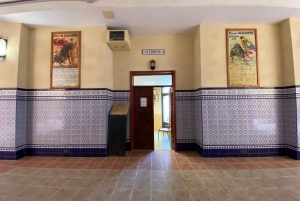 Alicante: Besøk på tyrefekterarenaen og museet med audioguide