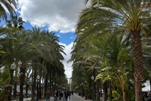 アリカンテのウォーキングツアー：香りを通して街を探索しましょう