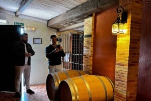 Alicante; Viinikierros Bodegas Vinos, ruoka ja kuljetus sisältyvät hintaan.