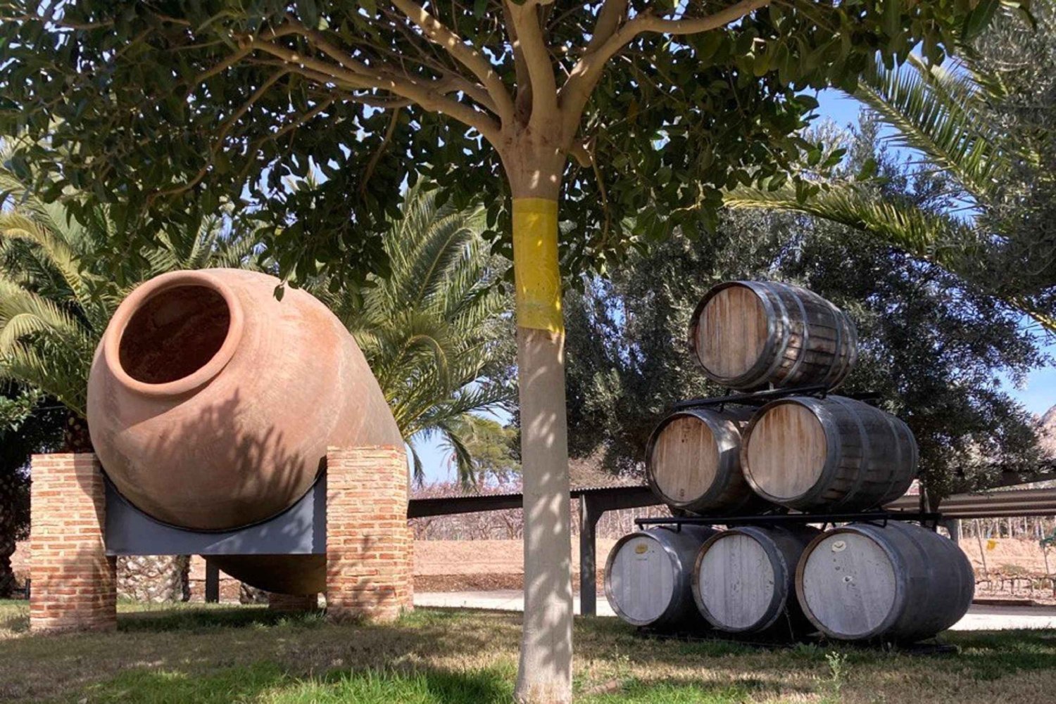 Alicante: Vinprovningstur med transfer