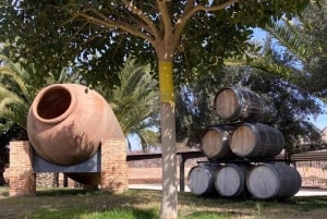 Alicante: Wine tasting tour with transfer