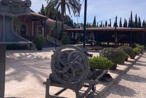 Alicante: Vinprovningstur med transfer och La Mola slott