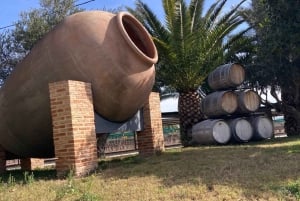 Alicante: Vinprovningstur med transfer och La Mola slott