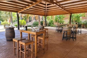 Alicante: tour della cantina, degustazione di vini e antico castello