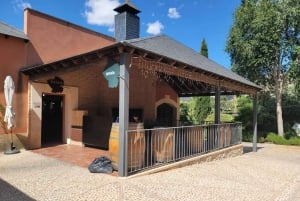 Alicante: tour della cantina, degustazione di vini e antico castello