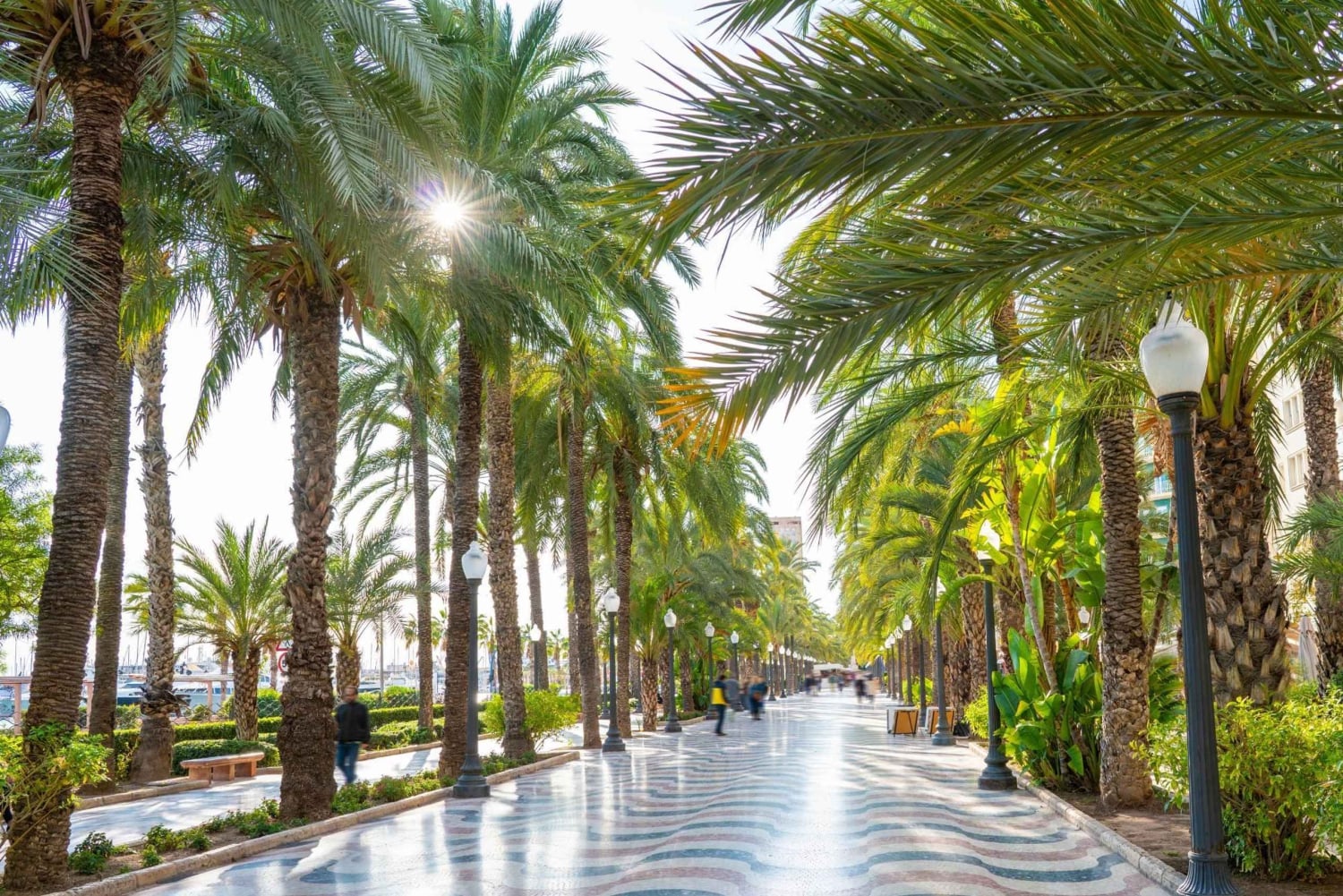 Alt i Alicante med slottet, markedet og tapas Lille gruppe på maks. 6 personer