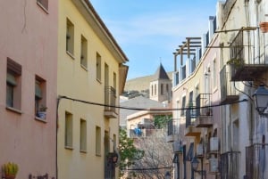 Alt i Alicante med slottet, markedet og tapas Lille gruppe på maks. 6 personer