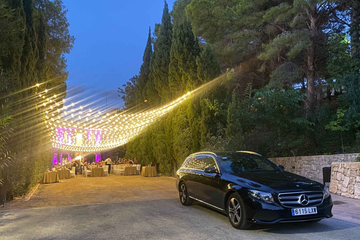 Altea: Alicante lufthavn (ALC) privat overføring