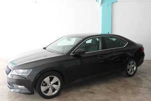 Altea: Alicante lufthavn (ALC) privat overføring