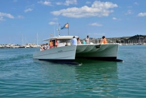 Altea: Motor Catamaran Boat Tour with Sunset