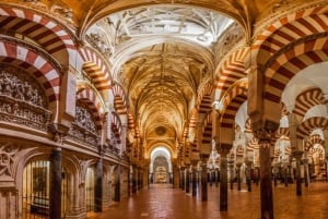 Andalusien och Valencia 6-dagarstur från Barcelona