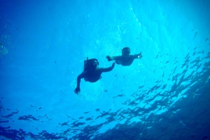 ベニドルム：ガイド付きカヤックツアー（シュノーケリングと写真撮影付き）