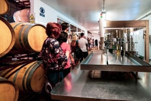 Benidorm: Private City Highlights Tour with Wine Tasting