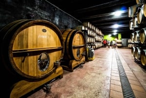 Benidorm: Private City Highlights Tour with Wine Tasting