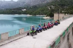 Benidorm: Tour en Quad biplaza por la selva