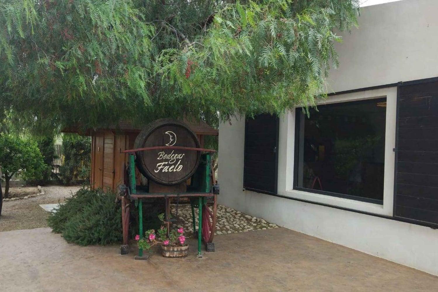 Il miglior tour enologico con degustazione di vini