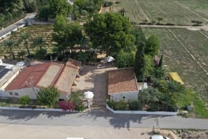 Il miglior tour enologico con degustazione di vini