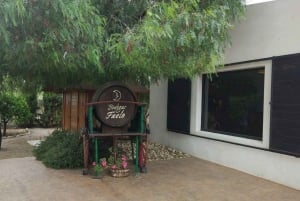 Il miglior tour enologico con degustazione di vini