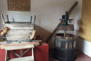 Il miglior tour enologico con degustazione di vini