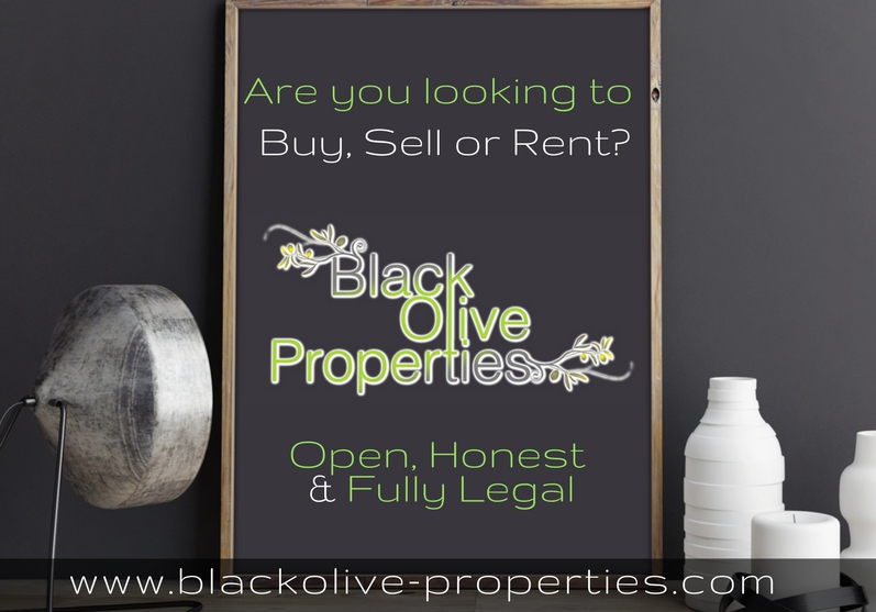Black Olive Properties