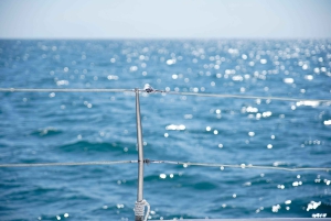 Calpe: Catamaran Tour with Optional Swim Stop
