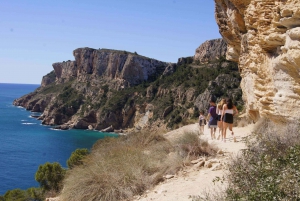Coastal Cliffs & Beaches: private full day tour