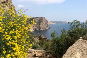 Coastal Cliffs & Beaches: private full day tour