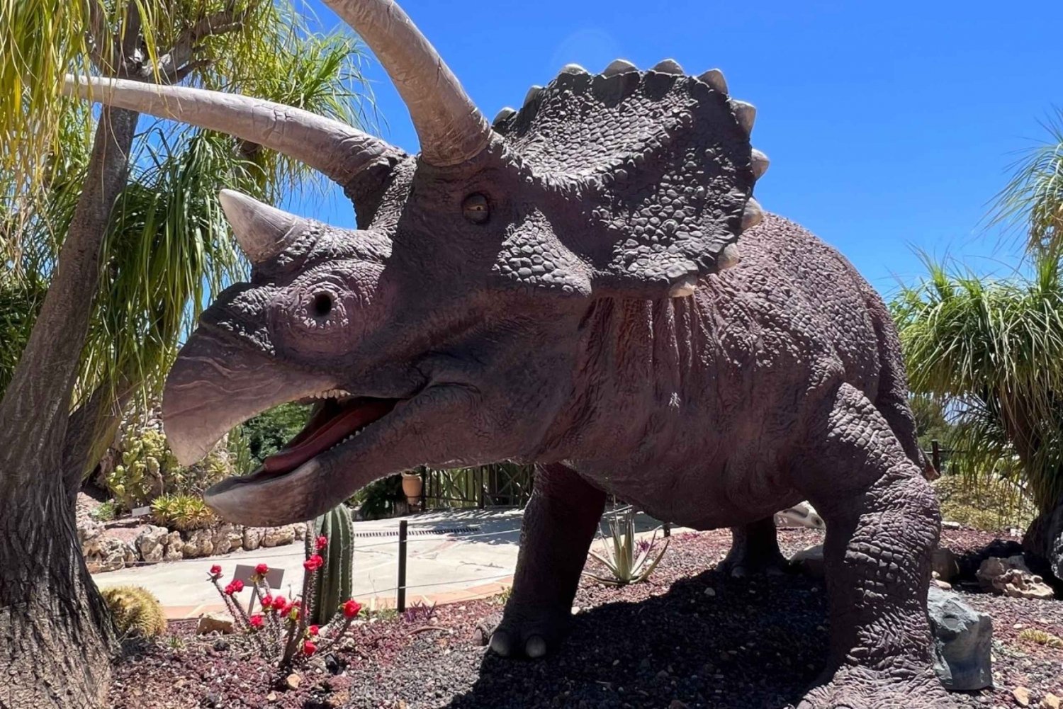 Costa Blanca: DinoPark Algar Pääsylippu