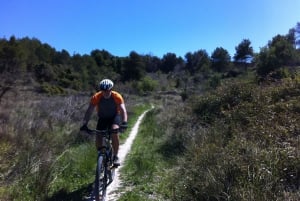 Dénia: Electric Mountain Bike Tour around the Montgó mountain