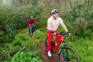 Dénia: Tour in mountain bike elettrica intorno alla catena montuosa del Montgó