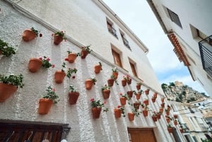 From Alicante: Guadalest and Altea Day Trip