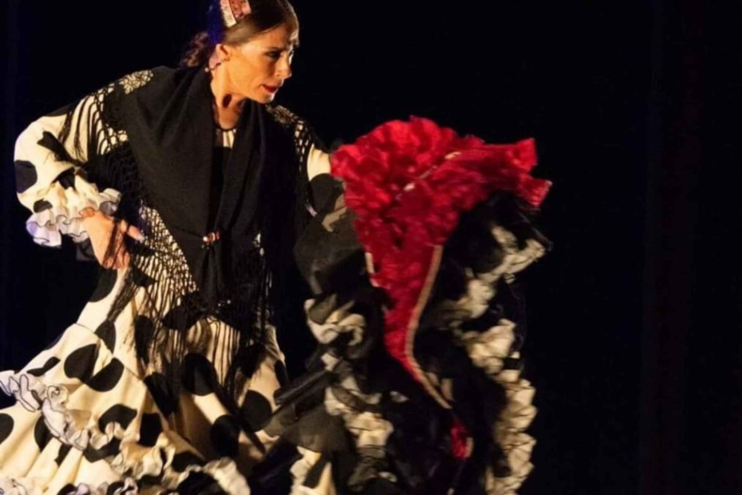 Diner en flamenco-show beschermd door UNESCO, in een privébusje vanuit Alicante