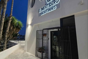 Diner en flamenco-show beschermd door UNESCO, in een privébusje vanuit Alicante