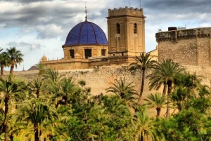 Elche: Basilica of Santa María Guided Tour and Tower Climb