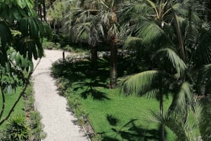 Elche: Ingresso para o Jardim Artístico Nacional Huerto del Cura