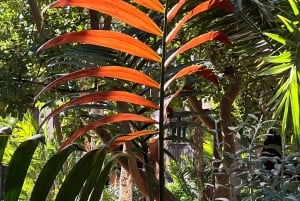 Elche: Ingresso para o Jardim Artístico Nacional Huerto del Cura