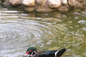 Elche: Ingresso para o Jardim Artístico Nacional Huerto del Cura