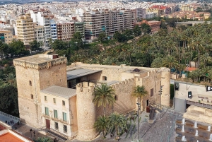 Elche: wandeltocht door het historische centrum en de botanische tuin Huerto de Cura