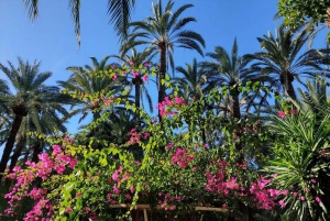 Elche: wandeltocht door het historische centrum en de botanische tuin Huerto de Cura