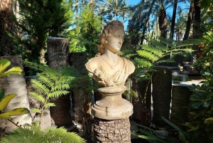 Elche: wandeltocht door het historische centrum en de botanische tuin Huerto de Cura