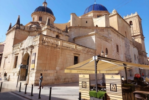 Elche: wandeltocht door het historische centrum en de botanische tuin Huerto de Cura