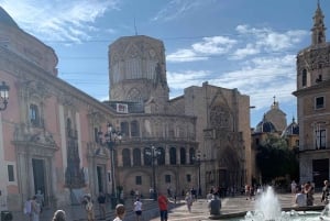 From Albir, Altea, Benidorm & Calpe: Valencia City Excursion