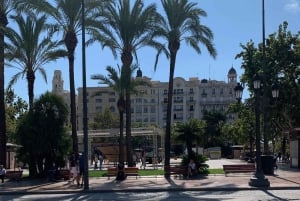 From Albir, Altea, Benidorm & Calpe: Valencia City Excursion