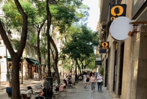 From Albir, Altea, Benidorm & Calpe: Valencia City Excursion