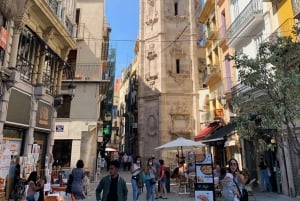 From Albir, Altea, Benidorm & Calpe: Valencia City Excursion
