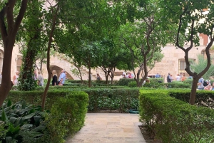 From Albir, Altea, Benidorm & Calpe: Valencia City Excursion