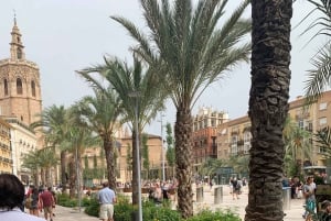 From Albir, Altea, Benidorm & Calpe: Valencia City Excursion